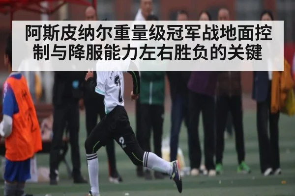 阿斯皮纳尔重量级冠军战地面控制与降服能力左右胜负的关键